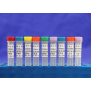 GBW09843 KRAS（G12R）基因突变丰度标准物质100μL