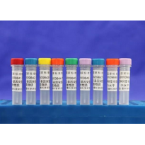 GBW09843 KRAS（G12R）基因突变丰度标准物质100μL