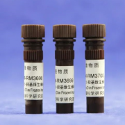NIM-RM3698-NIM-RM3700干冰运输	冰冻人血清中25-羟基维生素D标准物质