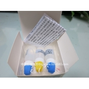 ZW2112	食醋总酸速测液	约30份样品用量