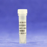 GBW10091转基因玉米BT11质粒分子标准物质-冰袋运输 